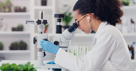 Wall Mural - science, ecology and microscope with woman in laboratory for botany expert, medical and planning. bi