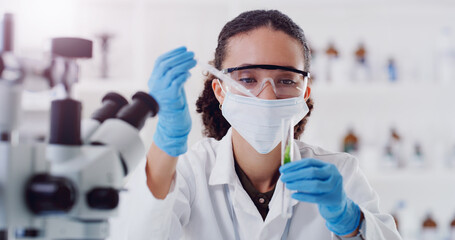Wall Mural - herbal plant medicine, lab research and woman scientist with test tube of a employee with science wo