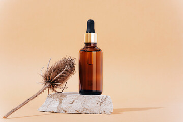 Wall Mural - Brown cosmetic serum bottle on natural stone podium and dry thistle inflorescence on neutral beige background with shadows. Closeup