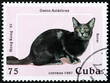 Postage stamp Cuba 1997 the korat cat