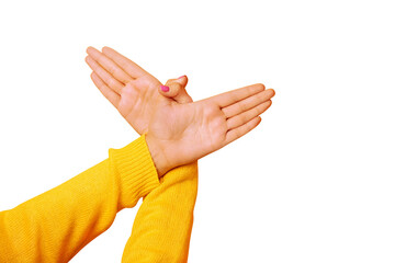 Hands gesture bird isolated on transparent background