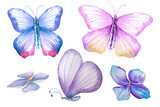 Fototapeta Motyle - Butterfly watercolor illustration. Cute butterfly for postcards, covers, invitations