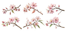 Watercolor Almond Blossom. Generative Ai