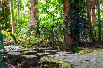 Wall Mural - Landscape of green plants planted in forest park botanical garden