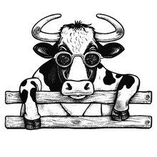 Cool Cow Leaning On A Fence Vector Sketch