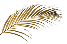 Golden Palm Leaf PNG On Transparent Background Abstract Monstera Leaf Decoration Design, PNG	