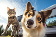 A Cat and a dog taking selfies next to their camper van. Van life concept image. Generative AI