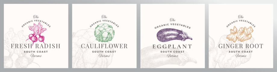 Wall Mural - organic vegetables logo templates set. hand drawn radish, cauliflower, eggplant and ginger root sket