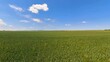 Panoramaansicht 360 Grad grünes Kornfeld mit Weg und blauem Himmel mit Wölkchen