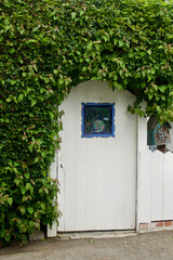 Wall Mural - white wood garden gate hidden by overgrown ivy covered wall