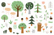 Set of cartoon forest trees. Simple vector set of green trees and nature elements on white background
