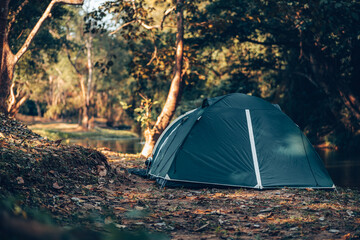 Green tent on the grass in the forest The view behind is the mountain in the morning. Camping, Travel and holiday concept.