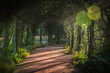 A Sunlit Path Through the Nature of Hyde Park Rose Garden - London, UK