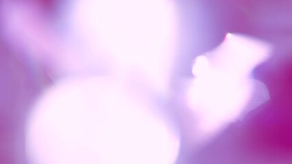 Wall Mural - Violet Spectrum Lens. Loop. The light passes through the facets of a slowly rotating diamond and creates repetitive sparkling highlights and rainbow colors