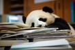 A Very Tired Panda Sleeping on a Pile of Files. Generative AI