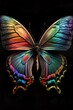 colorful butterfly isolated on black background