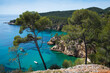 Calanque de Port d'Alon landscape (between Saint-Cyr-sur-Mer and Bandol), France. Spectacular view of sea coast, cliffs, boats, pine trees from hiking path. Travel, nature, environment background.