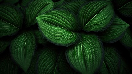 Green plant close up. Abstract natural floral background. flowing leaf lines