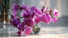 Purple Orchid In A Vase