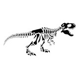 Fototapeta  - Dinosaur Full Body Skeleton Vector Silhouette