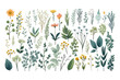 Big Set botanic elements - wildflowers, herbs, leaf. Flat hand-drawn illustration isolated on white background Generative AI
