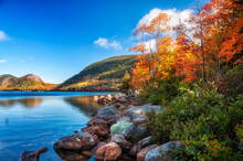 Beautiful Autumn Landscape With Mountains In Colorful Autumn Trees On The Lake. Acadia National Park. USA. Maine.