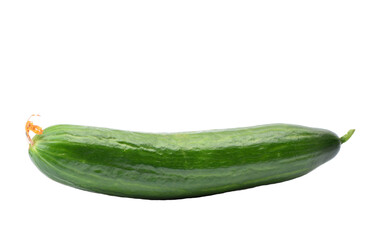 Wall Mural - Cucumber isolated 