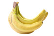 © valeriy555 - Bananas fruit isolated