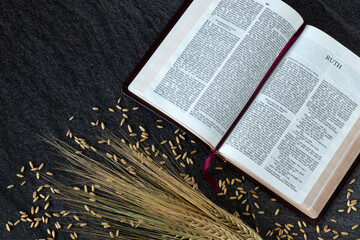 Wall Mural - Ruth open holy bible book with barley stalk and ripe grains on dark background. Top table view. Spring harvest, first fruits of God Jesus Christ, spiritual blessing, Christian biblical concept.