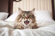 © Markus Schröder - Environmental portrait photography of a happy siberian cat paw-licking against an inviting bed. With generative AI technology