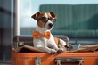 Jack Russel Terries in sunglasses lies on a suitcase on the airport - travel concept created using generative AI tools