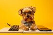 dog business animal humor funny financial background pet computer yellow finance. Generative AI.