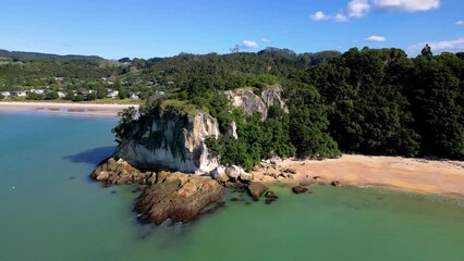 Wall Mural - vegetation grows over cliff in lonely bay, cooks beach. blue pacific ocean meets white sandy beaches