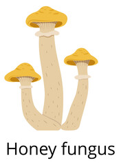 Sticker - Wild mushroom. Honey fungus icon. Forest nature