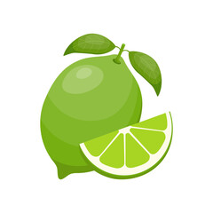Wall Mural - fresh lime fruit. collection of lime vector icons isolated on white background. vector illustration 