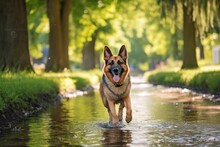 Environmental Portrait Photography Of A Happy German Shepherd Walking Against Canals And Waterways Background. With Generative AI Technology