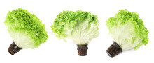 Collage With Fresh Lettuce On White Background