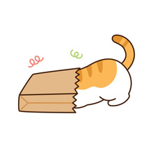 Cute Cat. A Yellow Tabby Cat Is Pushing Its Head Into A Paper Bag.