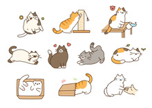 Fat Cute Cat Lifestyle. They Are Joking Around, Having Accidents, And Having Fun.