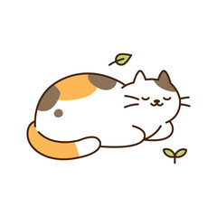 Wall Mural - cute cat. a tricolor cat is sleeping with a relaxed expression in a rope pose.
