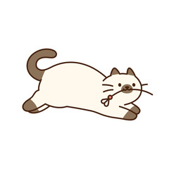 Wall Mural - cute cat. a siamese cat is running with a toy in its mouth.