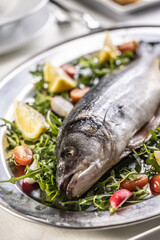 Wall Mural - Presentation of seabass fish in a raw form on a tray of salad