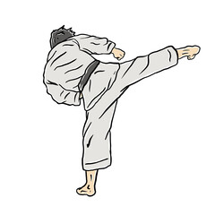 Wall Mural - karate fighter doing technique