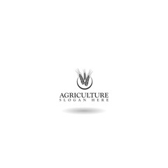 Sticker -  Agriculture wheat Logo Template icon with shadow