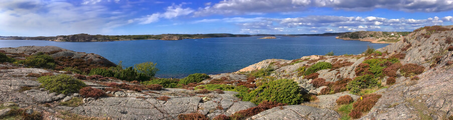 Wall Mural - .landscape of the baltic rocky  coast in island of Smogen with plants  in front of the sea