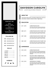 Poster - professional curriculum vitae template vector