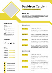 Wall Mural - professional curriculum vitae template vector