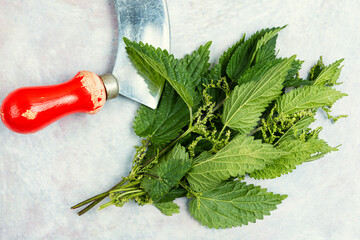 Wall Mural - Fresh nettle leaves and knife.