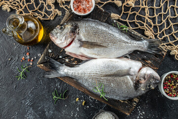 Wall Mural - dorado fish or sea bream on black background. place for text, top view
