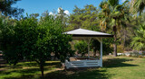 Fototapeta  - Garden with palm trees, white wooden gazebos and hammocks. Furniture for rest.
